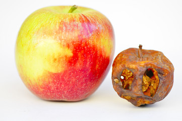 Pomme consommable et pomme squelettique