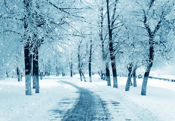 Winter alley, snowstorm