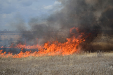 Fototapeta na wymiar Fire in the field