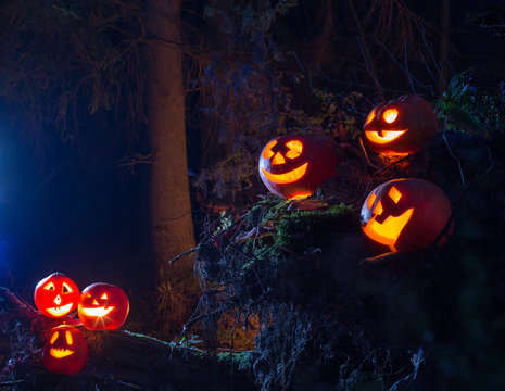 Halloween pumpkins in forest