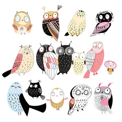 Peel and stick wall murals Owl Cartoons set of different owls