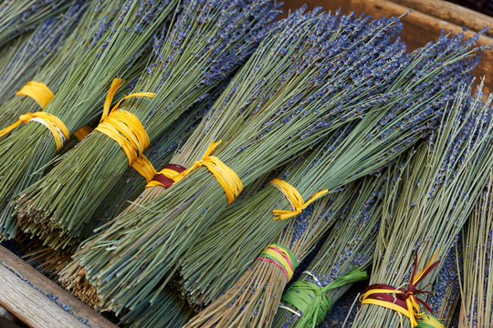 Dry lavender bouquets in Provence