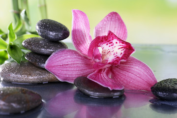Fototapeta na wymiar Spa stones, bamboo branches and lilac orchid