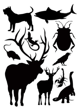 animals vector