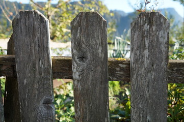 Fototapeta premium Zaun