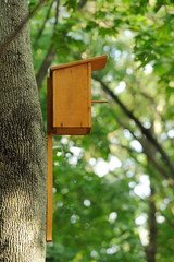 Birdhouse