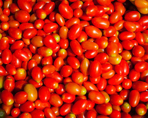 Red small sweet tomatoes background