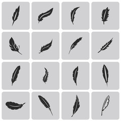 Vector black feather Black icons set3. Vector Illustration eps10