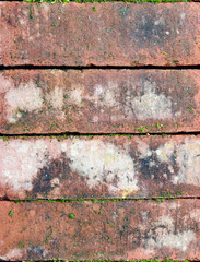 old bricks with some moss, background texture, close up