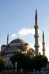 Naklejka premium Blue mosque in Istanbul,Turkey