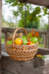 Basket with ripe apples