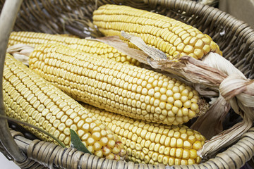 Corn cobs