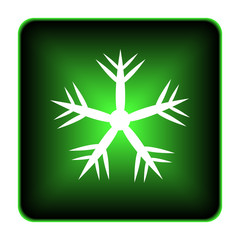 Snowflake icon