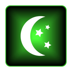 Moon icon