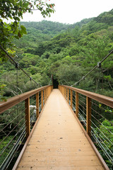 Fototapeta na wymiar 森林の吊り橋・比地大滝へ