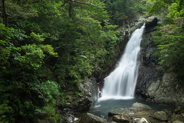Fototapeta na wymiar 沖縄の滝・比地大滝