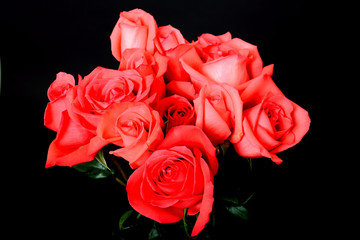 Rose Floral arrangement