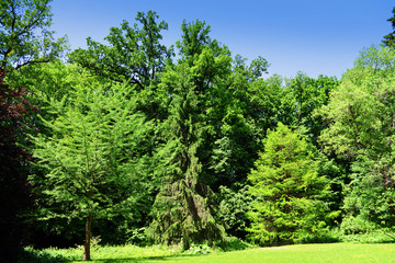 Beautiful park outdoors