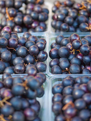 Grapes