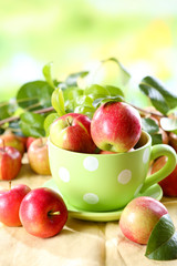 Juicy apples, close-up