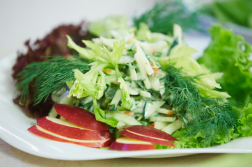 vegetable salad on a plate