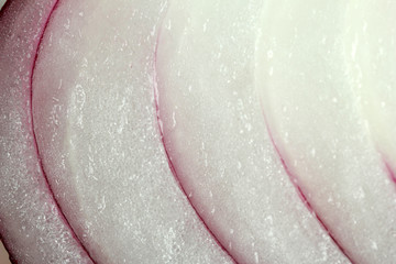 Close up of onion slice (macro)