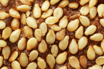 Bread with sesame texture