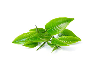 green tea leaf isolated on white background