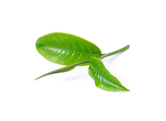 Obraz premium Green tea leaf isolated on white background