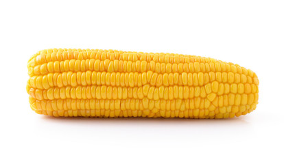 corn on a white background