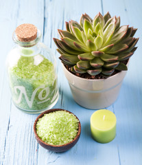 Spa, organic products