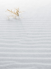 sand