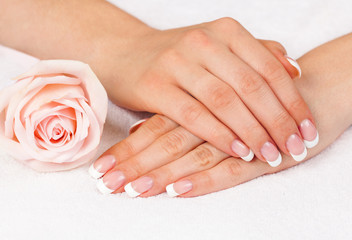 Naklejka premium Beautiful woman's hands with perfect french manicure near rose