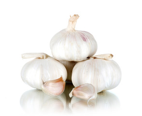 Garlic