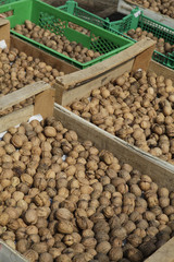 Trocknen von Walnüssen