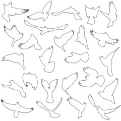 Concept of love or peace. Set of silhouettes of doves. Vector il
