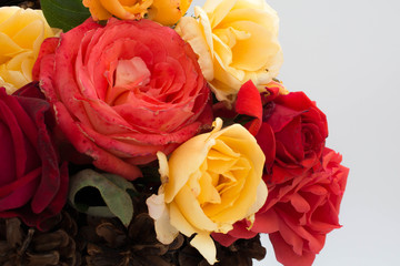 Roses in a basket of cones