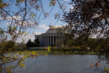 Obraz premium Jefferson Memorial