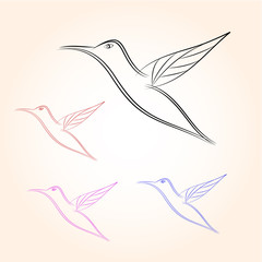 bird in white background