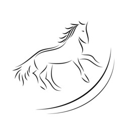 Vector image of an horse on white background