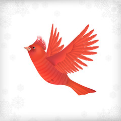 Winter Christmas Flying Bird