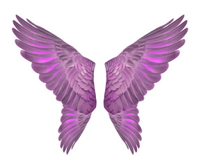 Obraz premium Pinion on the sprawling white