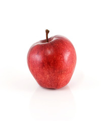 Red apple on a white background