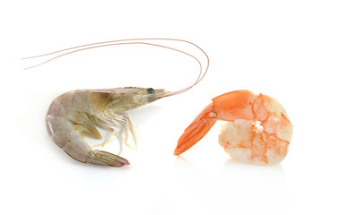 shrimps on a white background