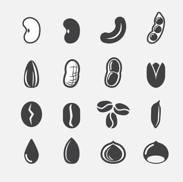 nut and seed icon