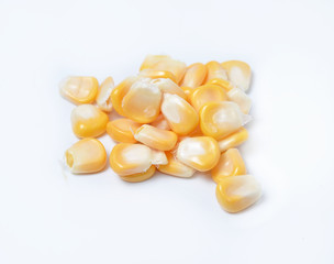 corn isolated on white background