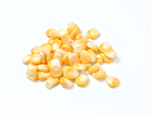 corn isolated on white background