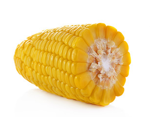 canned corn