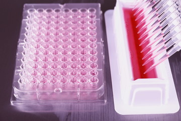 Tools for PCR amplification of DNA, 96-well plate