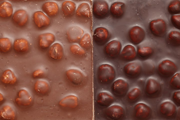 Milk and Dark Chocolate with nuts